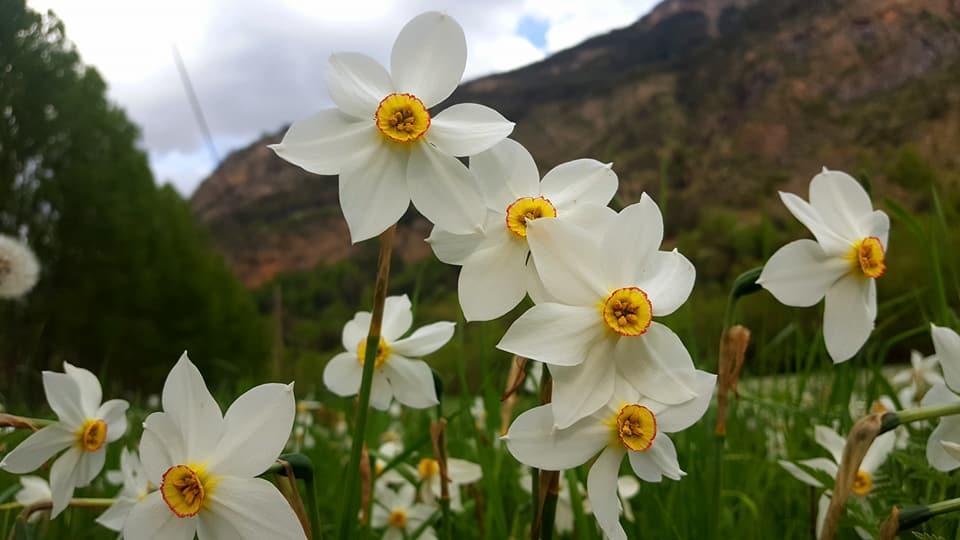Bpirineos-Las Plazas เบนาสเก ภายนอก รูปภาพ